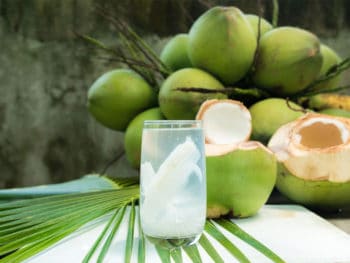 Best Coconut Water Brands