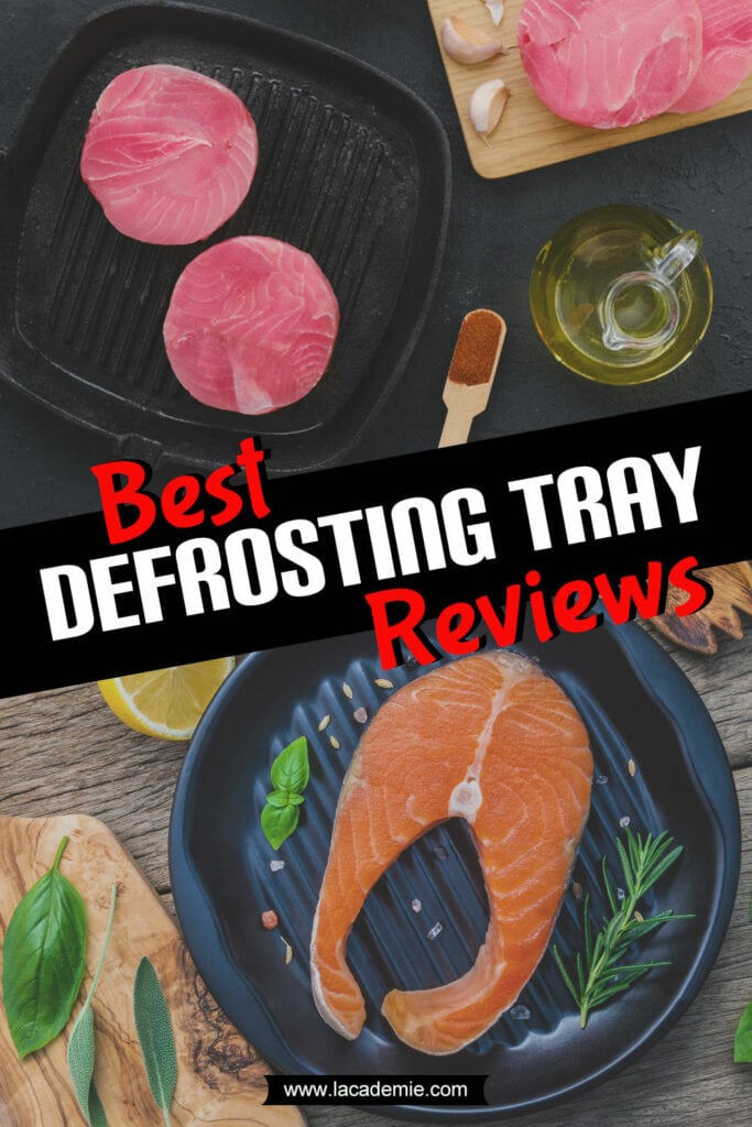 Best Defrosting Trays