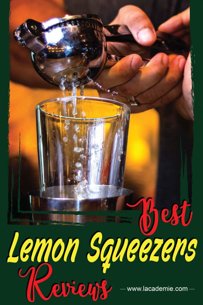 Best Lemon Squeezers Reviews