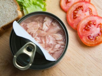 Best Canned Tuna