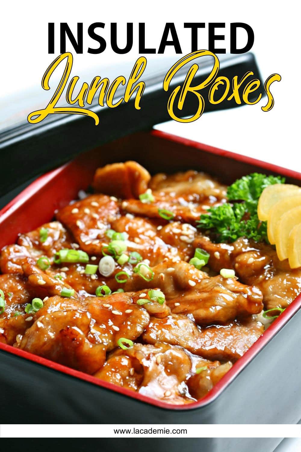 10 Best Insulated Lunch Boxes to Keep Your Meals Fresh in 2024