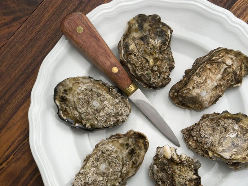 10 Best Oyster Tools – NomList