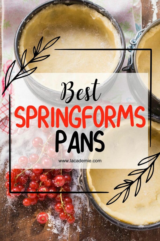 Best Springform Pan