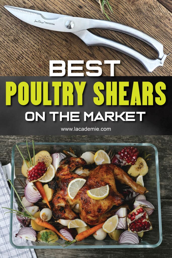 Best Poultry Shears
