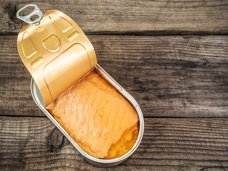 Top 10 Best Canned Salmon Reviews in 2023