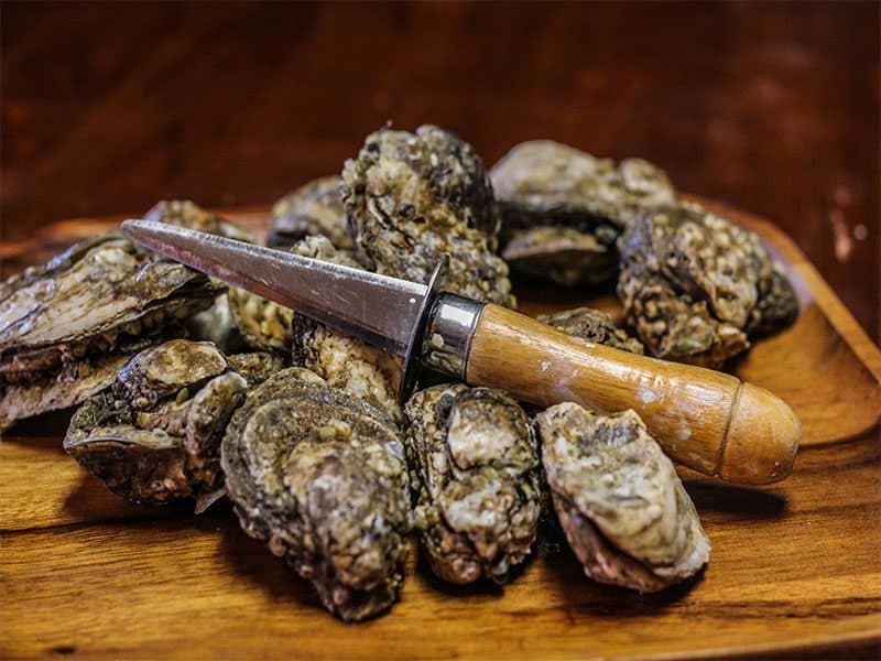 Oyster Shucking Knives