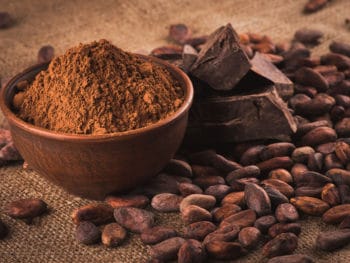 Best Cocoa Powder