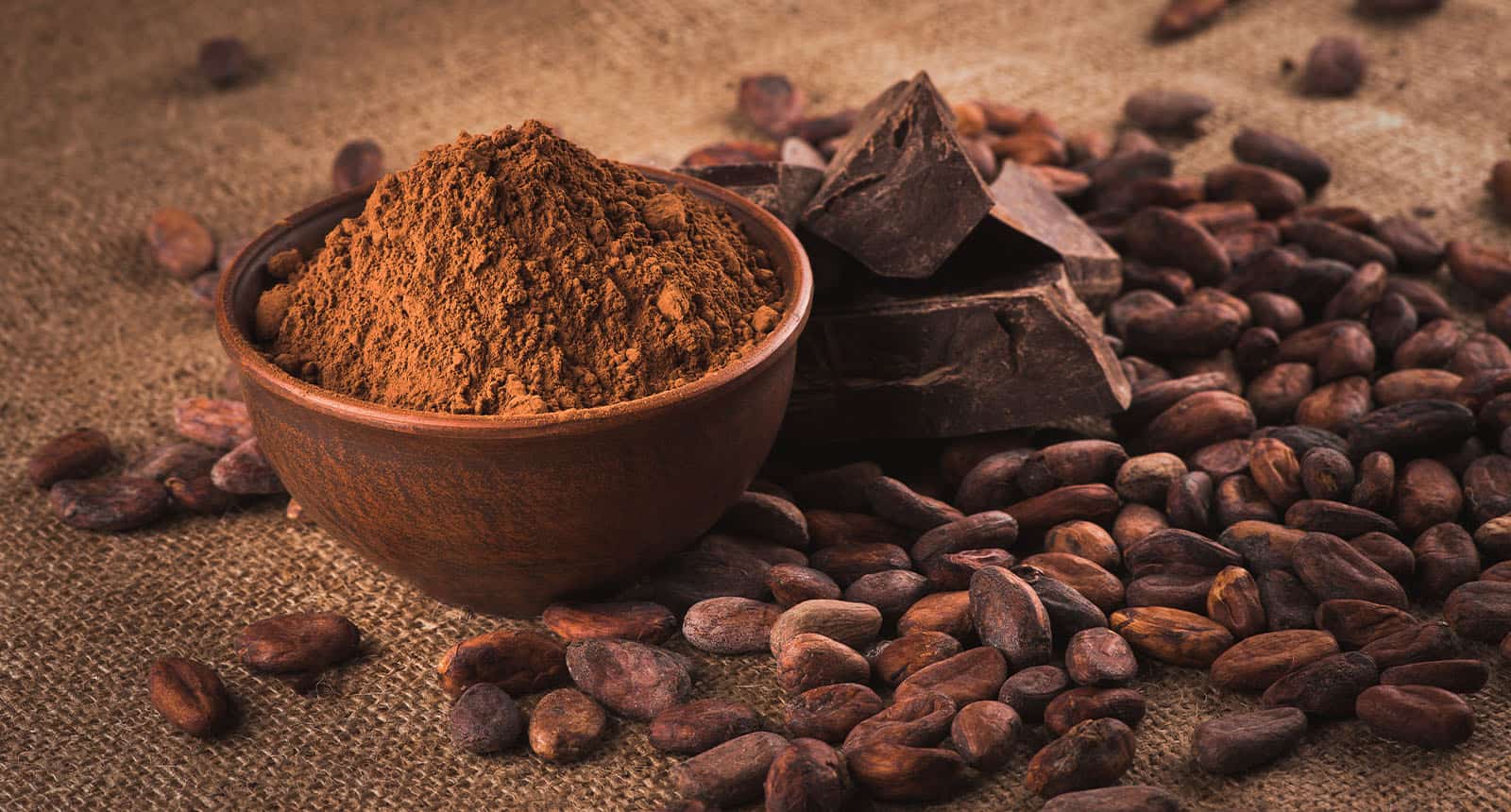 Best Cocoa Powder