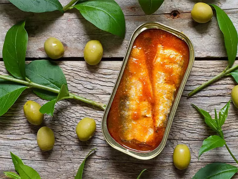 10 Best Canned Sardines for Savory Dishes in 2024