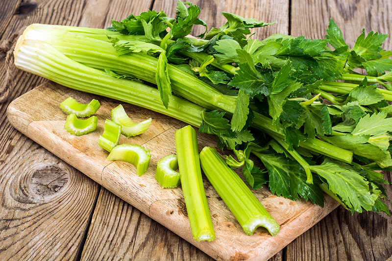 Bunch Fresh Celery Stalk Leaves