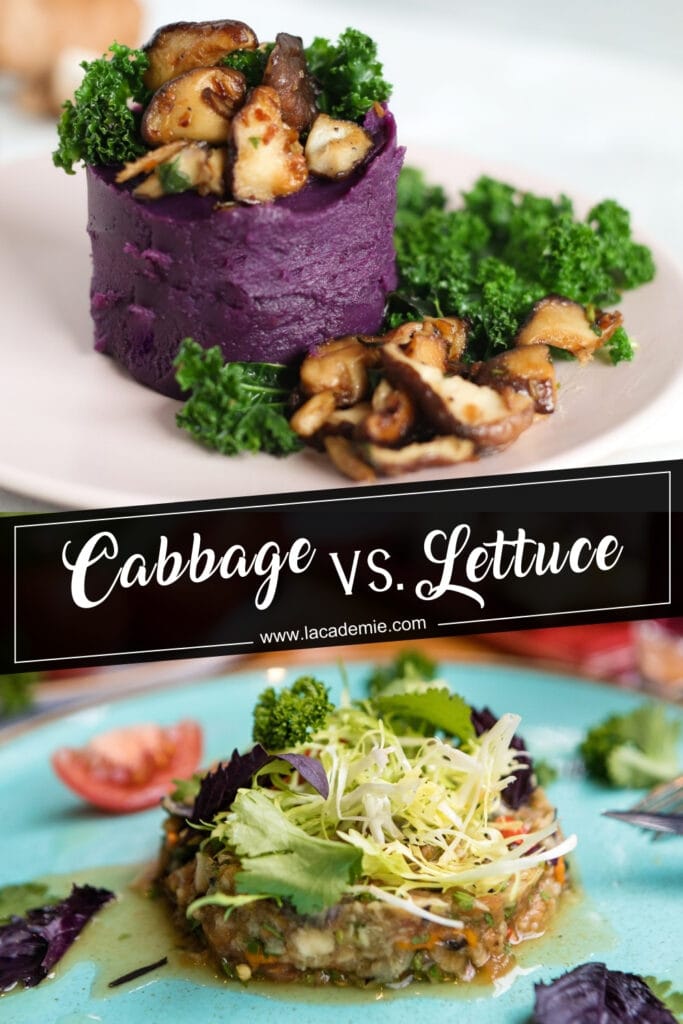 Cabbage Vs Lettuce