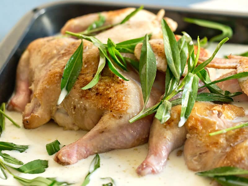 Chickens Creamy Tarragon