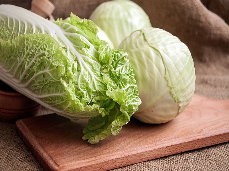 Fresh Green Garden Cabbage