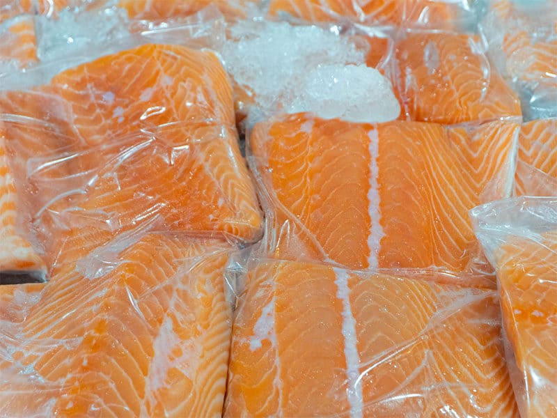 Fresh Salmon Fish Packing