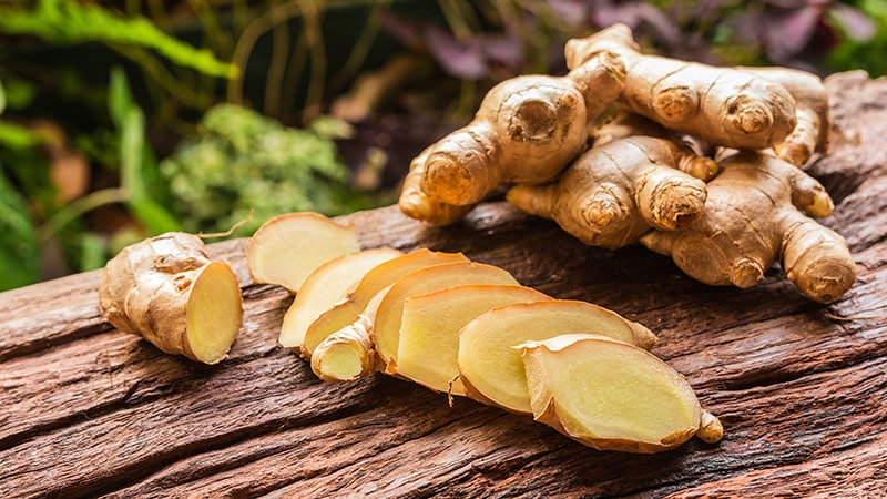 Ginger Root