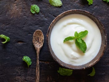 Greek Yogurt Sour Cream