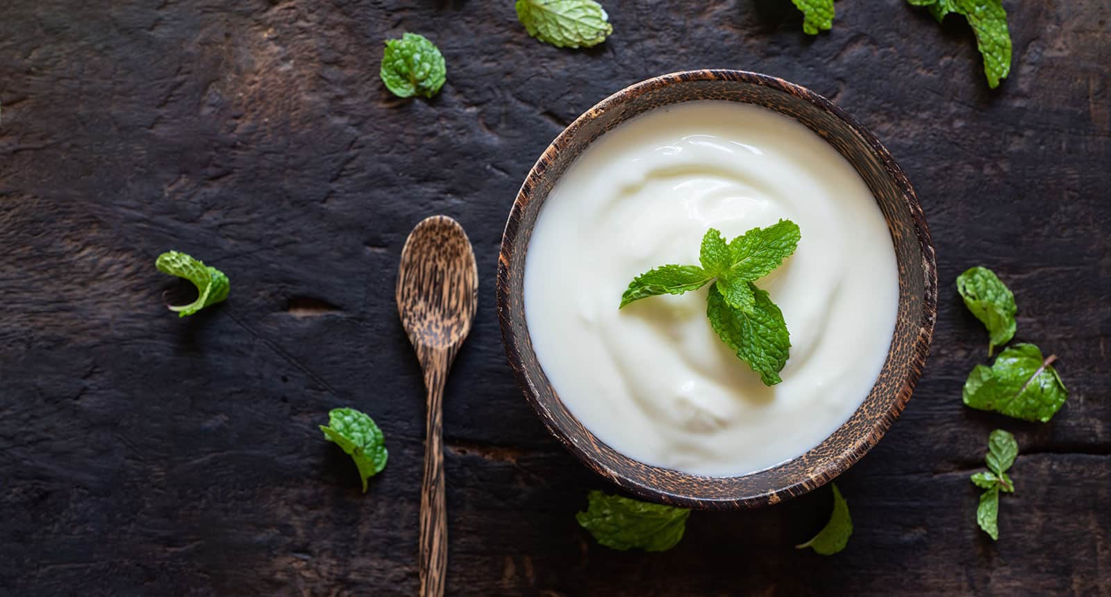 Greek Yogurt Sour Cream