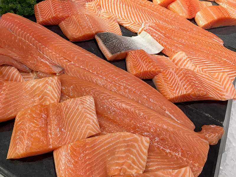 Salmon Fresh Fillets