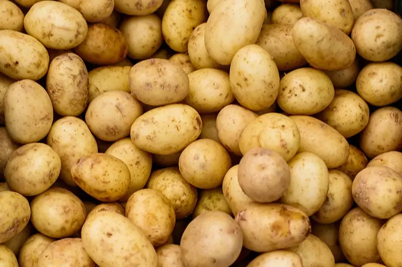 Small White Potatoes