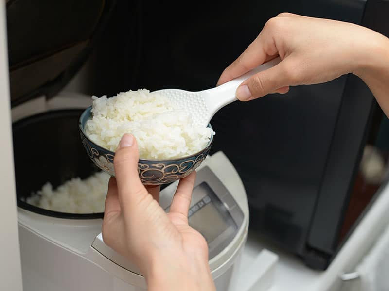 Stream Rice Electric Cooker