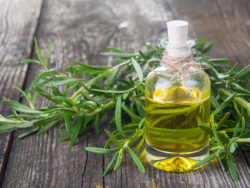 Tarragon Vinegar