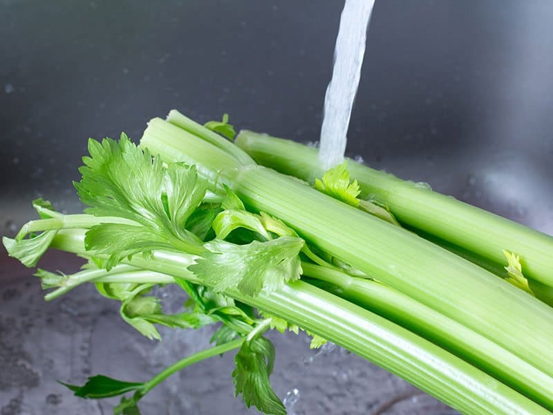 Washing Celery Kitchen