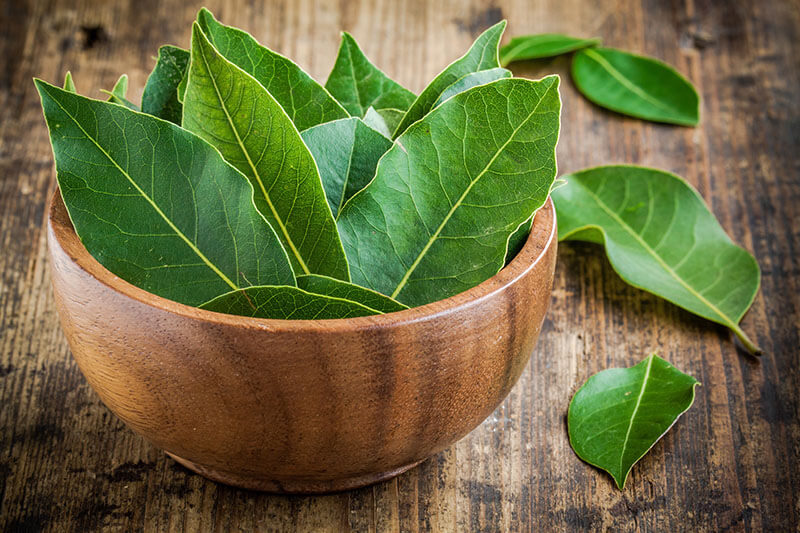 Bay Leaves Wooden Bowl