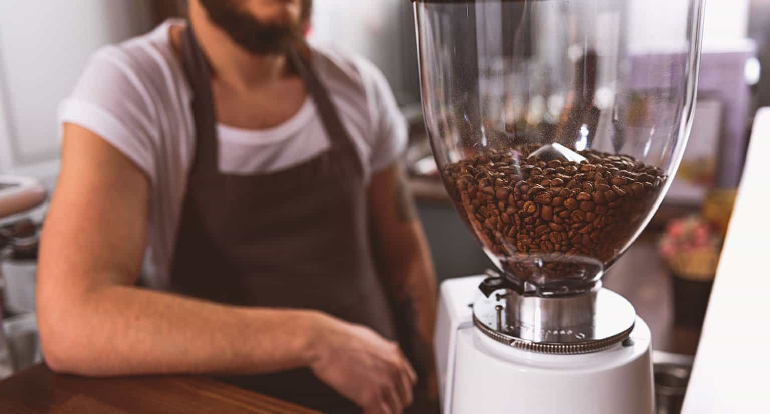 12 Best Food Processor Substitutes Essential Alternatives 2024