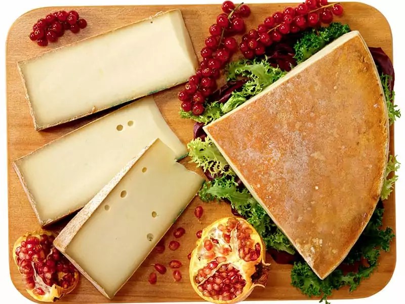Fontina Cheese – A Comprehensive Guide 2022