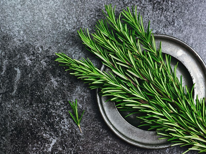 Fresh Rosemary