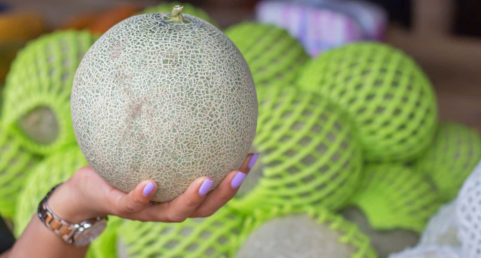 Heirloom Cantaloupe