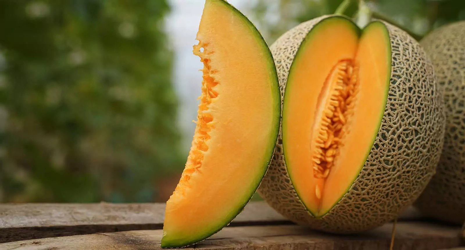 Melon Cantaloupe