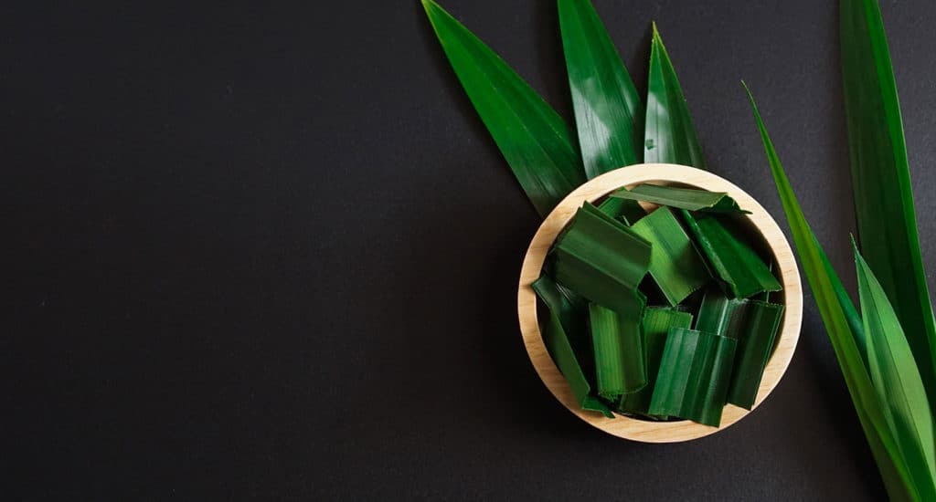 What Does Pandan Taste Like? Discover Its Unique Flavor in 2024