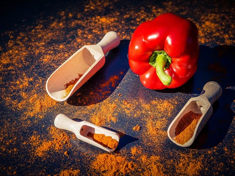 Best Paprika Substitutes Top 11 Alternatives for 2024