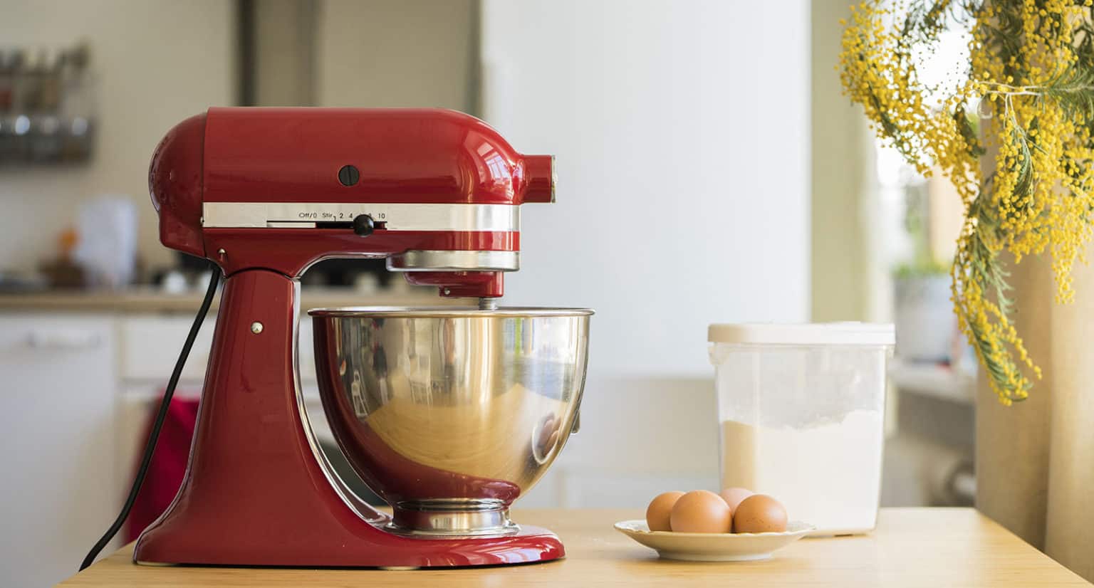 12 Best Food Processor Substitutes Essential Alternatives 2024