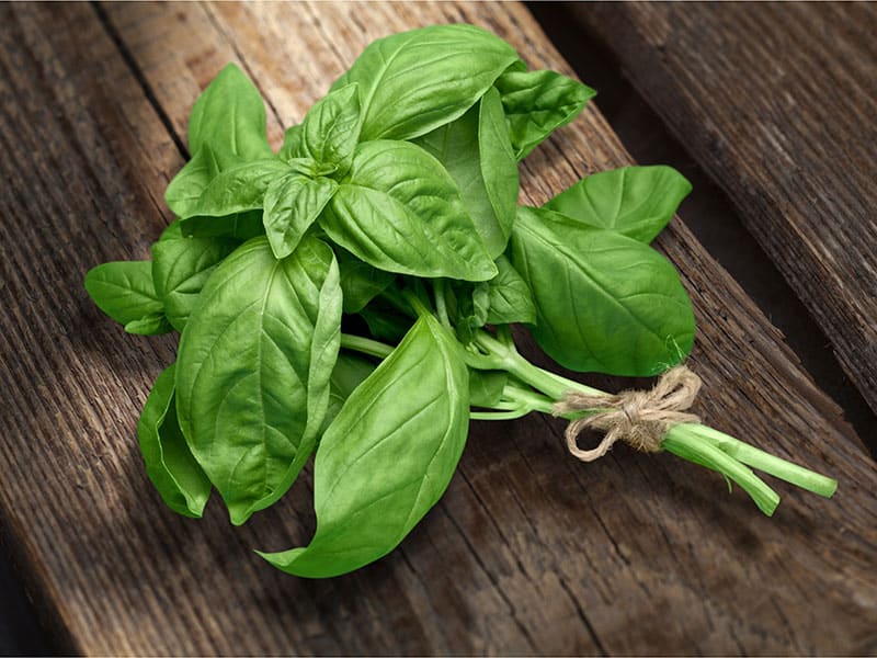 Sweet Basil