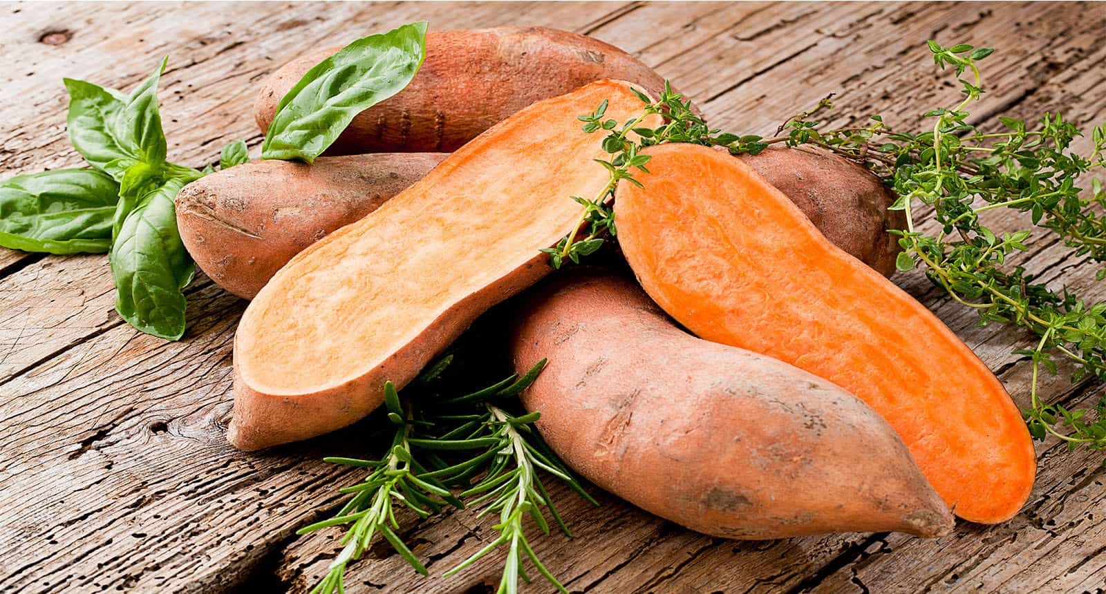 Sweet Potato