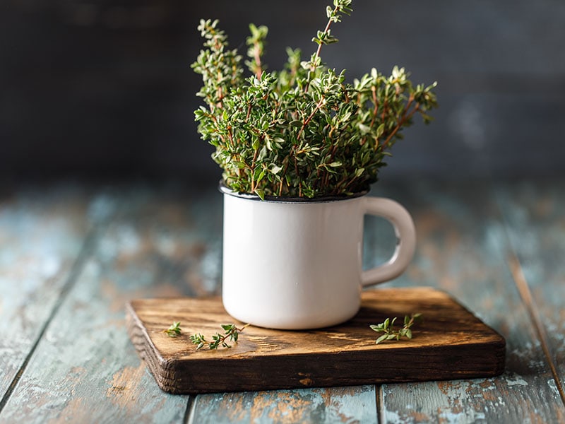 Thyme Bunch Green Mug