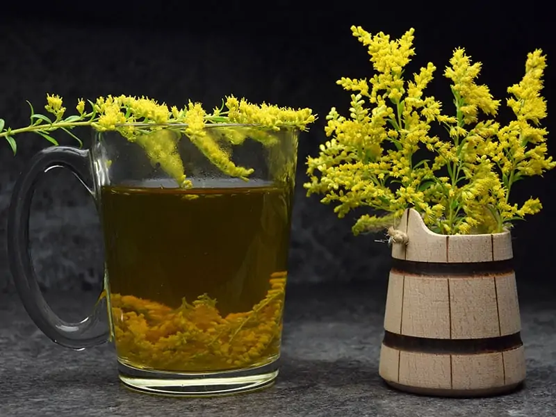 Goldenrod Tea