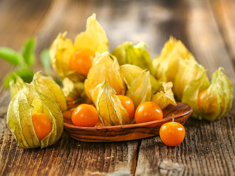 Physalis Is Edible