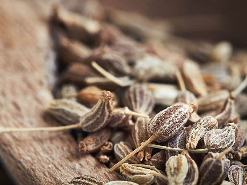 Top 11 Star Anise Substitutes for Cooking Recipes in 2024