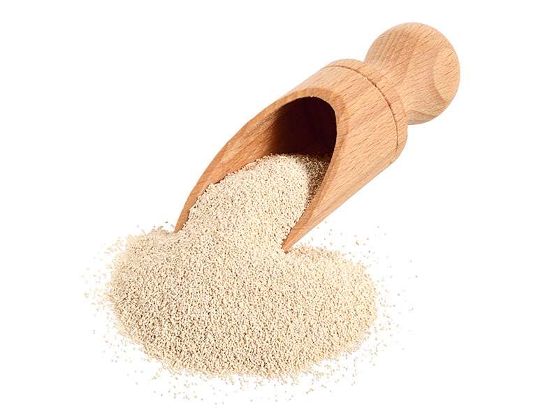 Bakers Yeast Granules