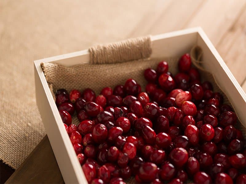 Basket Cranberries Box