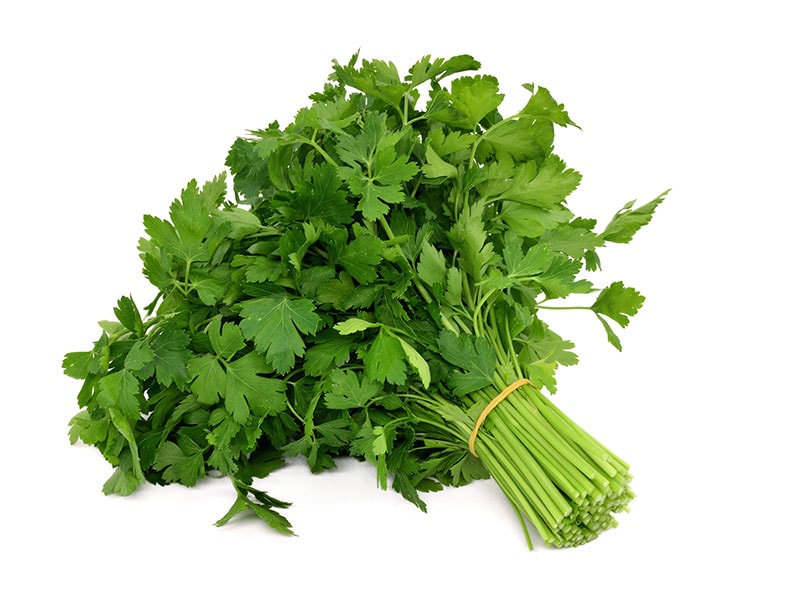 Bunch Parsley