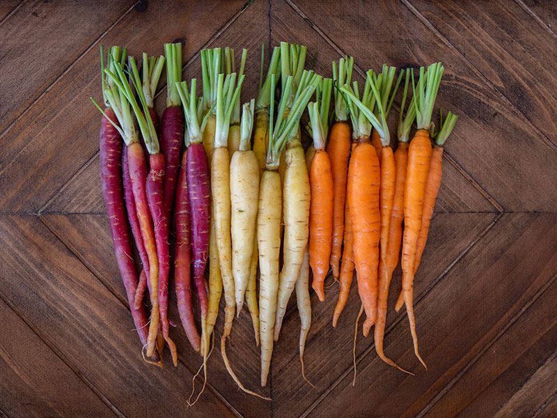 Bunch Rainbow Carrots