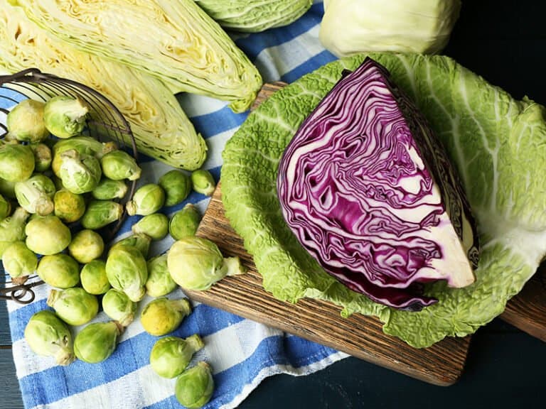 What Do Brussels Sprouts Taste Like? Complete Flavor Guide 2024