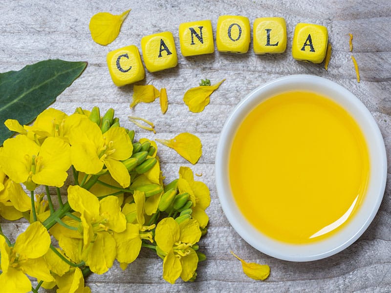 Canola Oil Concept