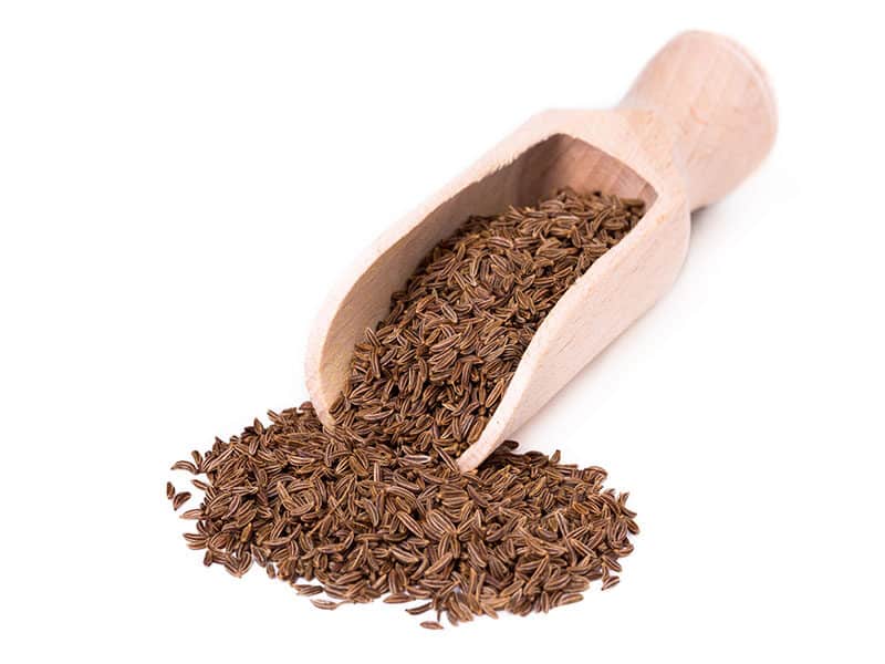 Caraway Seed Spice Shovel