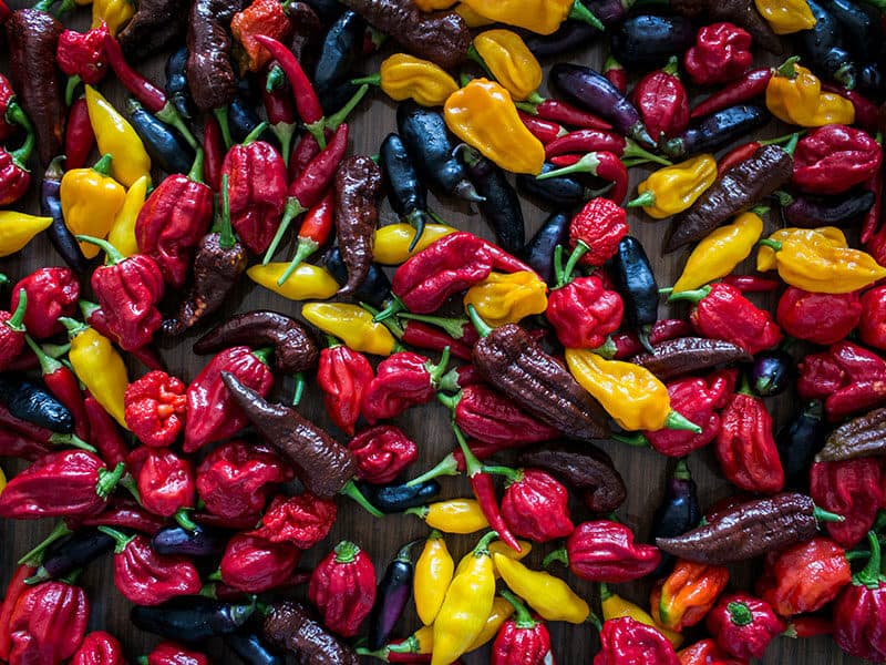 Colorful Ghost Peppers Spicy 