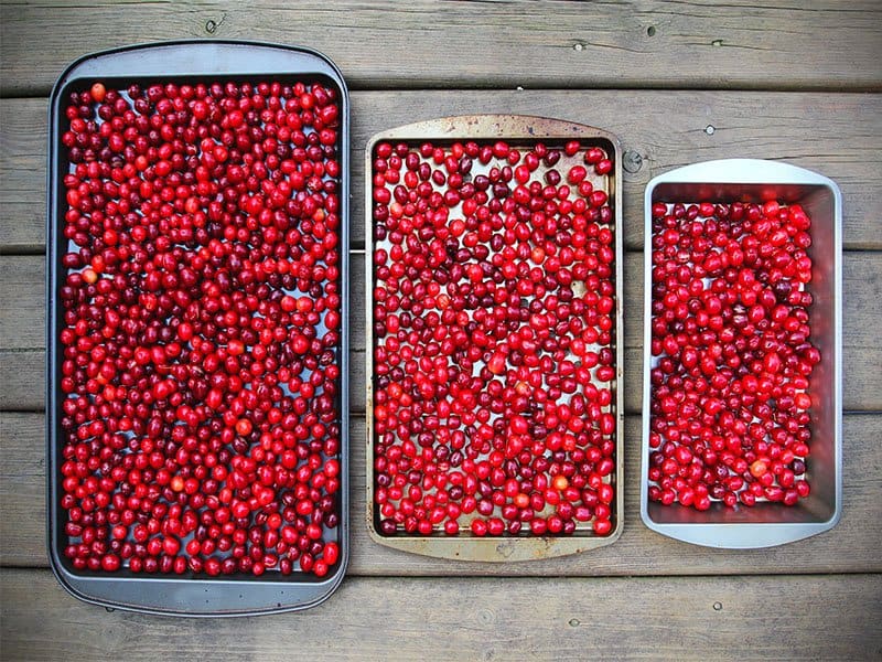 Cornelian Cherries Berries
